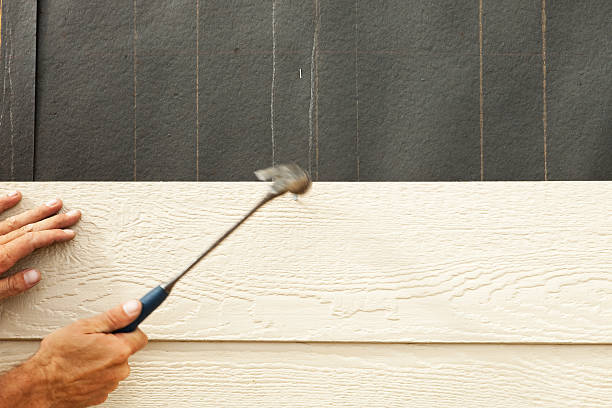 Best Stucco Siding  in Caribou, ME